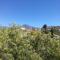 Finca Alda