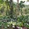 Sunset Valley Homestay