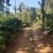 Sunset Valley Homestay