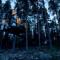 Treehotel