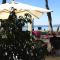 Hotel Holiday Sul Lago - Bolsena