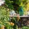 Country House Bakicevo