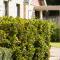 Amalfi Resort Busseltons Best Kept Secret