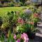 Brambles Bed and Breakfast - Tiverton