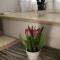 Apartment center Roko - Split