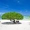 Etu Moana Boutique Beach Villas - Adults Only
