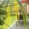 Dhiari Guest House - 乌布
