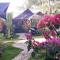 Coco Cabana Romblon
