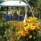 Camping Casuta Mihaela Camping Casuta Mihaela