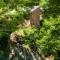 Village vacances de Marc photo 14