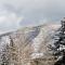 Modern Aspen Condo Private Deck W Koch Park Views - 2e