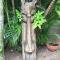 St Lucia Kingfisher Lodge
