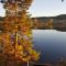 Bild Ferienwohnung am Kirnbergsee