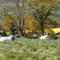 Harepath Farm Cottages 1