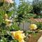 Apartment Maslina-2 by Interhome