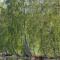 Holiday Home Peltotupa by Interhome