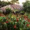 Sol de Minca Eco Lodge
