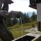 Ferienhaus Anderles-Alm