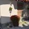 Rinas House