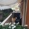Rikis home in Malcesine