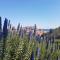 Villa Caterina