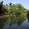 Young Coconut Garden Home Resort