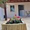 Lemon Tree Courtyard