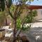 Lemon Tree Courtyard