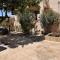 Lemon Tree Courtyard