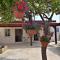 Lemon Tree Courtyard