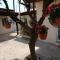 Lemon Tree Courtyard