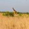 Sambiya River Lodge