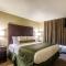 Cobblestone Inn & Suites - Lakin