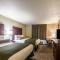 Cobblestone Inn & Suites - Lakin