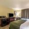 Cobblestone Inn & Suites - Lakin