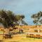 Broken Hill Outback Resort