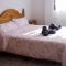 APARTAMENTO LOS NARCISOS