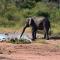 Sekala Private Game Lodge