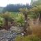 Above the River Karapiro Bed & Breakfast - Karapiro