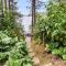 Holiday Home Iltarusko by Interhome