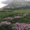 Heatherbell Cottage Guest Accommodation