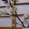 Wakaba Ryokan / Vacation STAY 29366