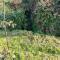 Cabanelas Country House - Casa do Afonso