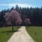 La Roussilhe photo 23