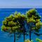 Apartmani Maja