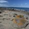 Beachside Taroona with Spa - خليج ساندي
