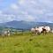 Snug Oak Hut with a view on a Welsh Hill Farm - Brecon