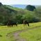 Snug Oak Hut with a view on a Welsh Hill Farm - Brecon