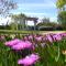 "IL CASALE DEI GIRASOLI" Country House in Capalbio