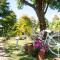 Yosemite Homestay